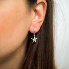 Γυναικεία σκουλαρίκια 925 Silver Starfish 036333