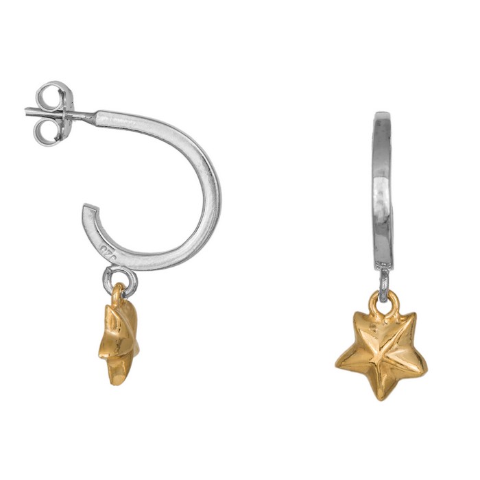 Δίχρωμα γυναικεία σκουλαρίκια 925 με κρεμαστά αστεράκια 035901 035901 Ασήμι